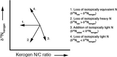 Interpretation of Nitrogen Isotope Profiles in Petroleum Systems: A Review